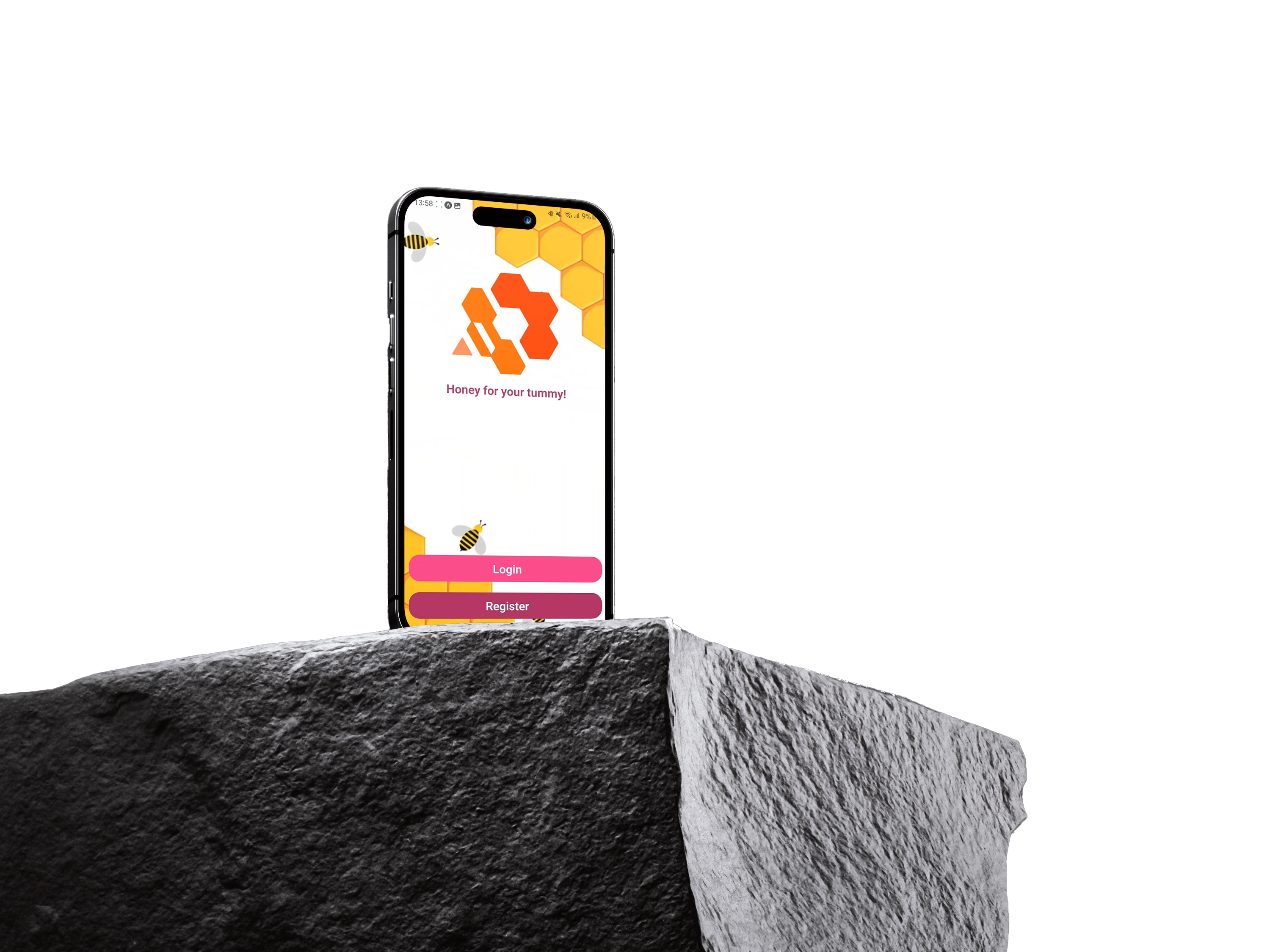 Beelandia Project Photo